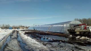 Купить сваи для теплицы в Луга - цена от производителя от 2292 руб